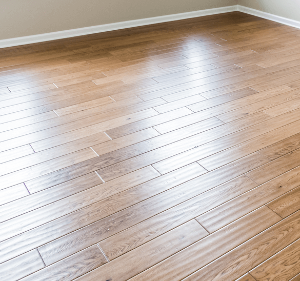 Floor Cleaning Service