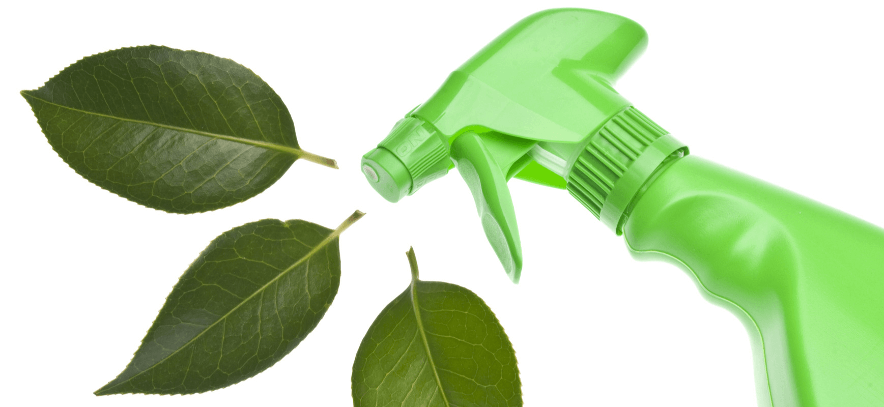 Green and lower-impact cleaning service