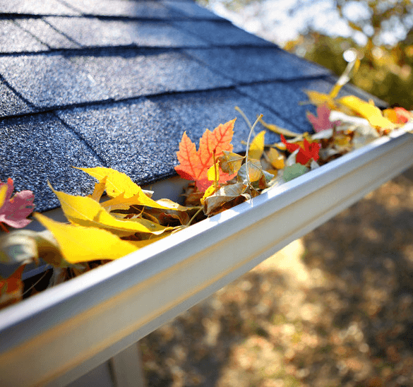 Gutter Cleaning Service