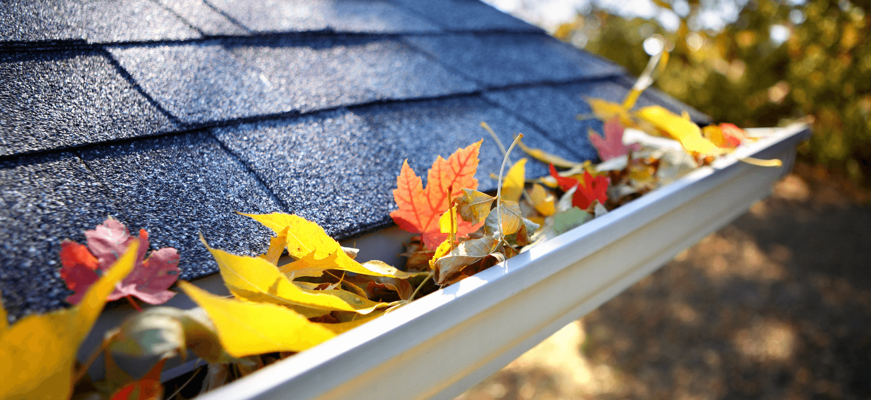 Residential gutter cleaning service