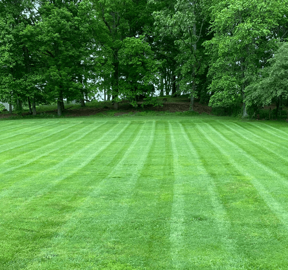 Lawn Care Service