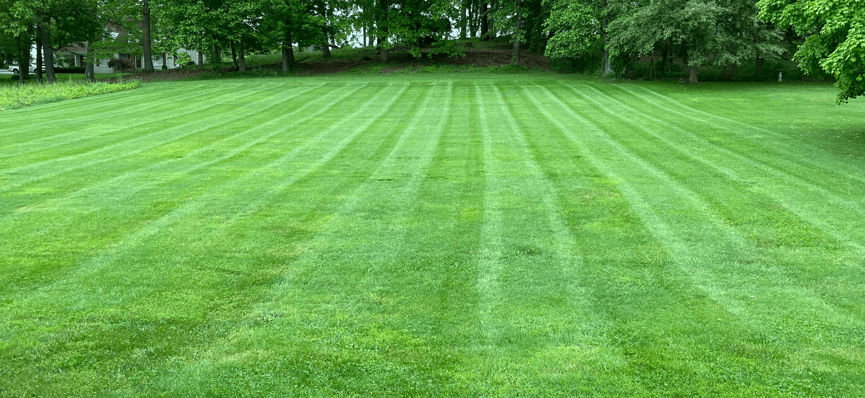 Residential lawn care and mowing service