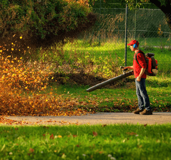 Leaf Blowing Service