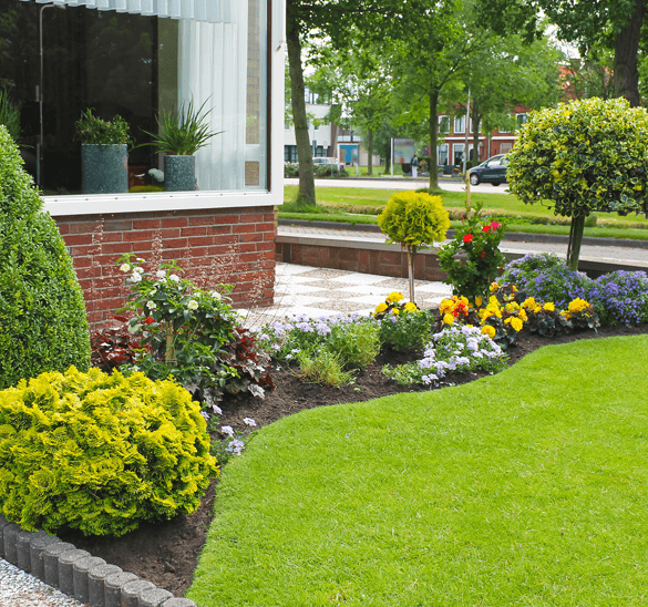 Plant Care Service