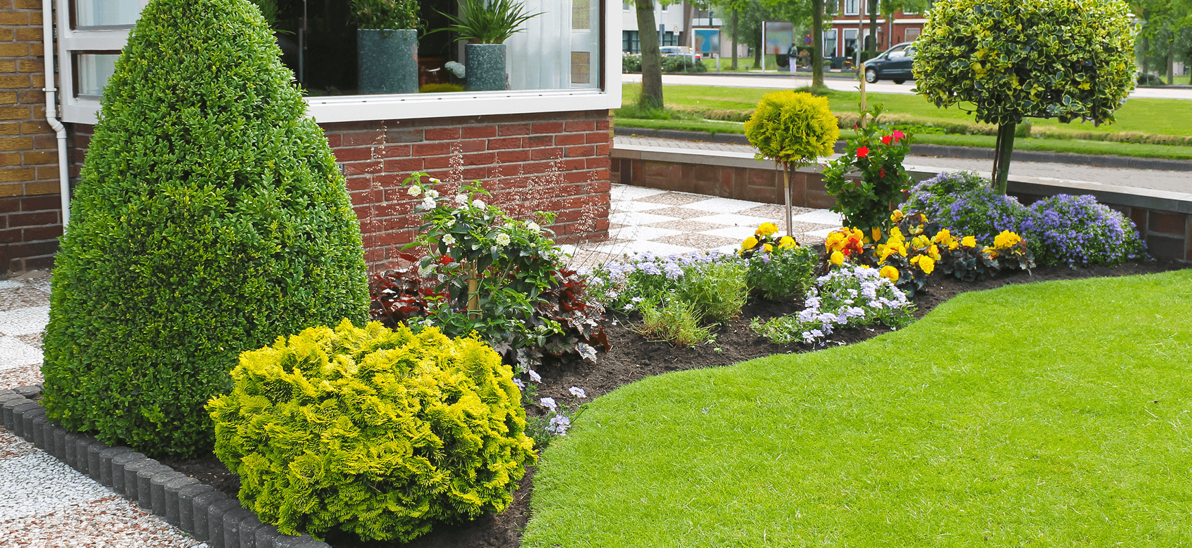Landscape plant care and maintenance