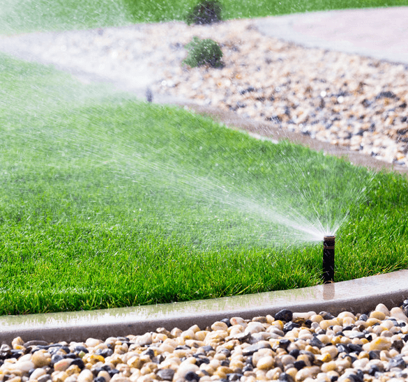 Sprinklers Service