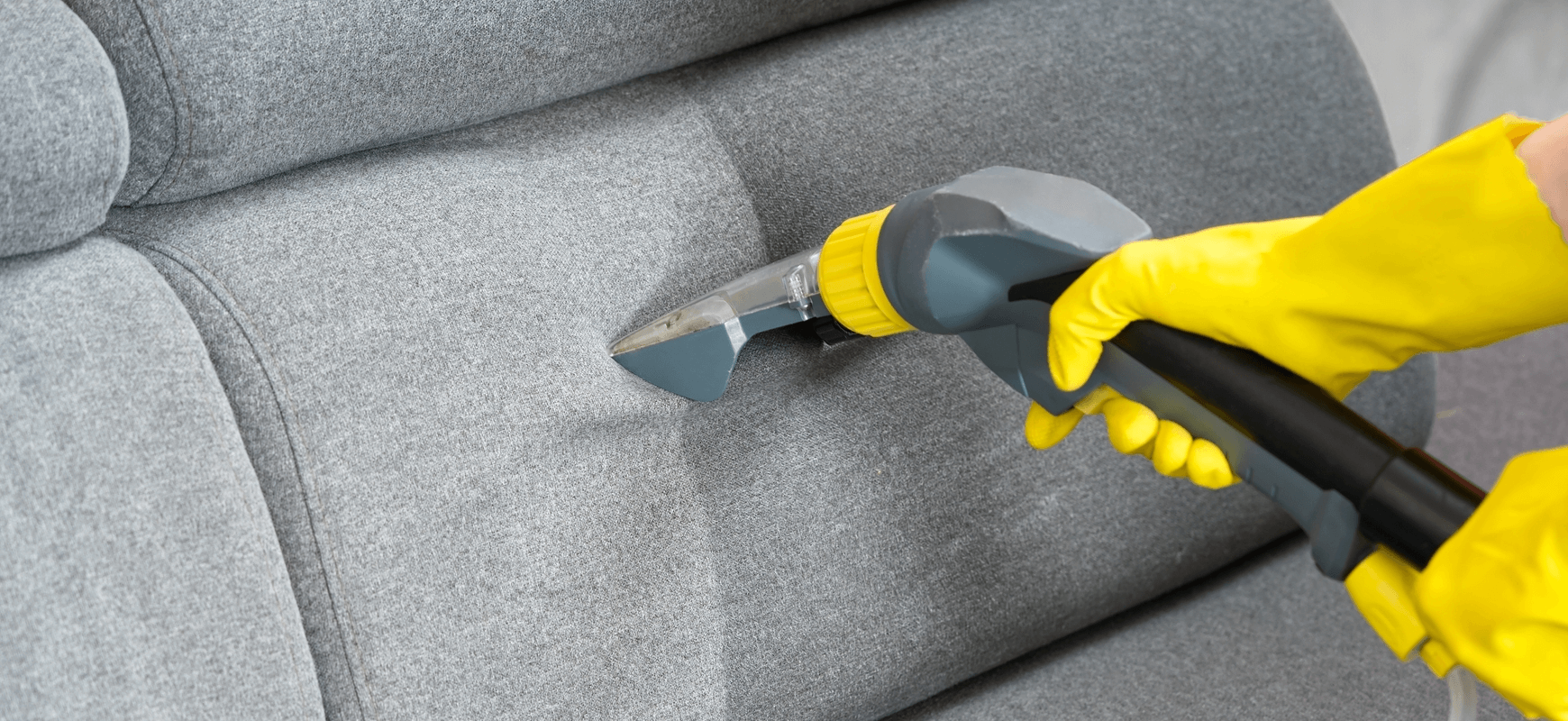Professional upholstery cleaning