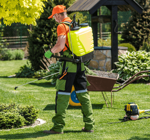 Weed Control Service