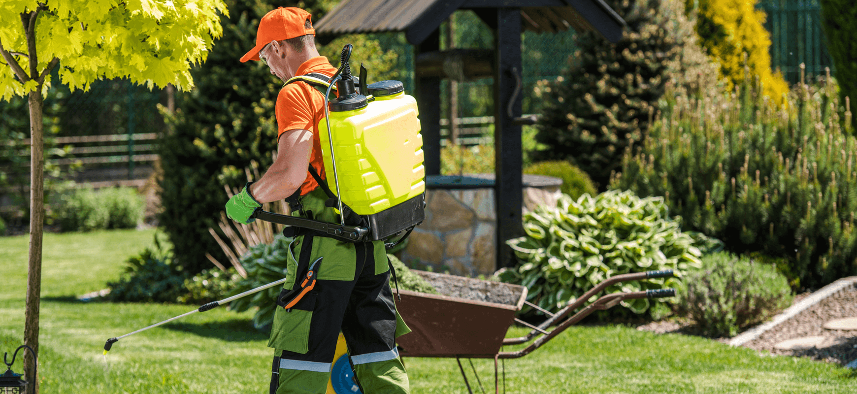 Lawn and landscape weed treatment service