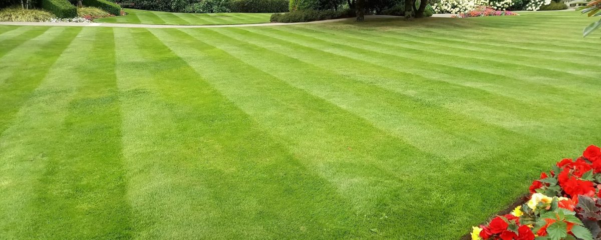 Striped lawn